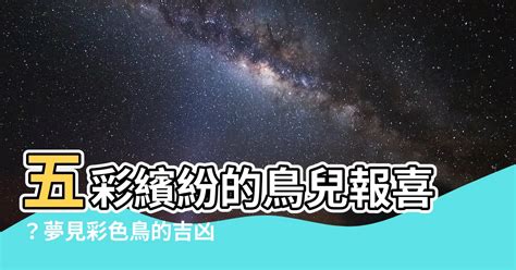 鳥寓意|鳥的象徵含義